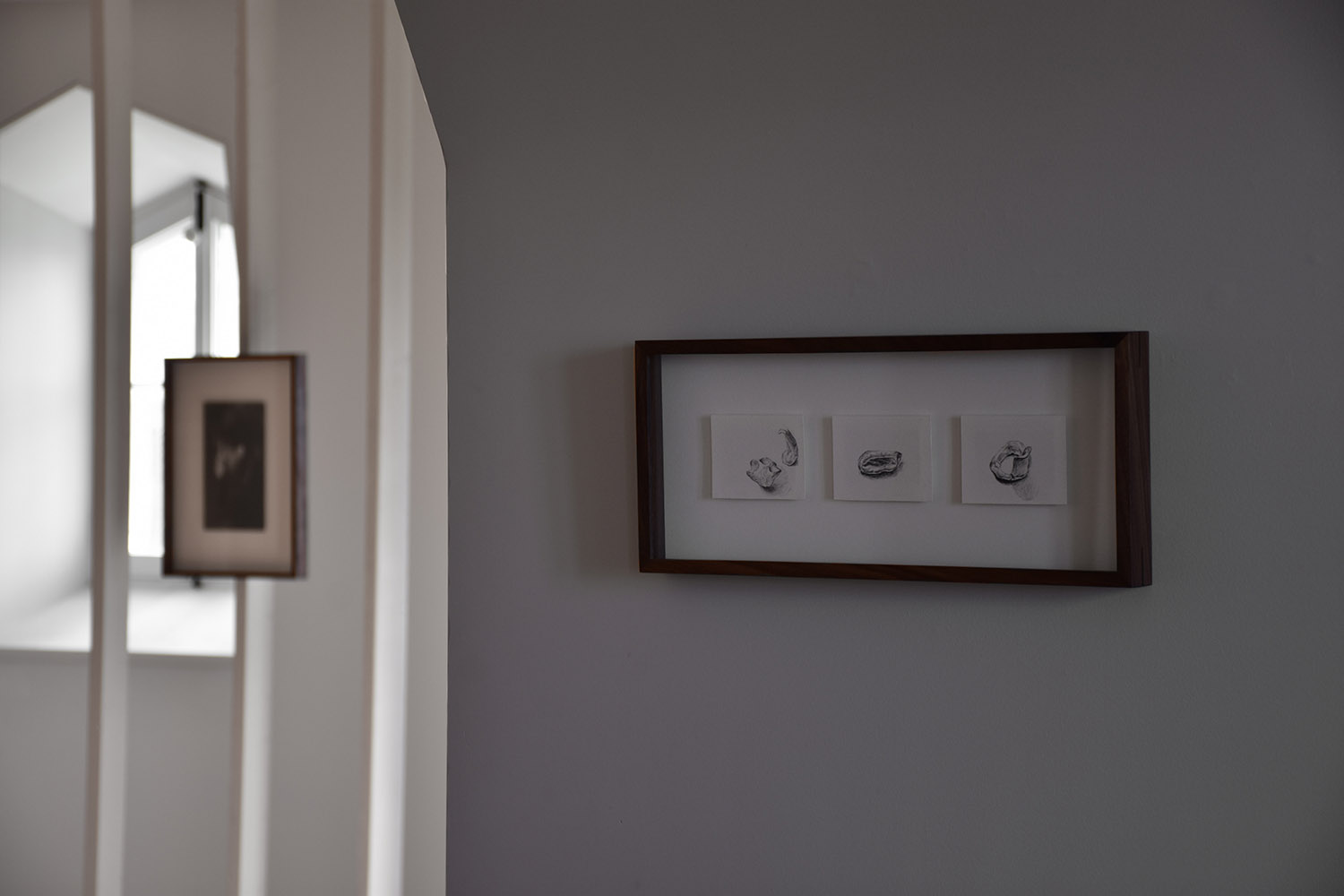 Mesure et Démesure