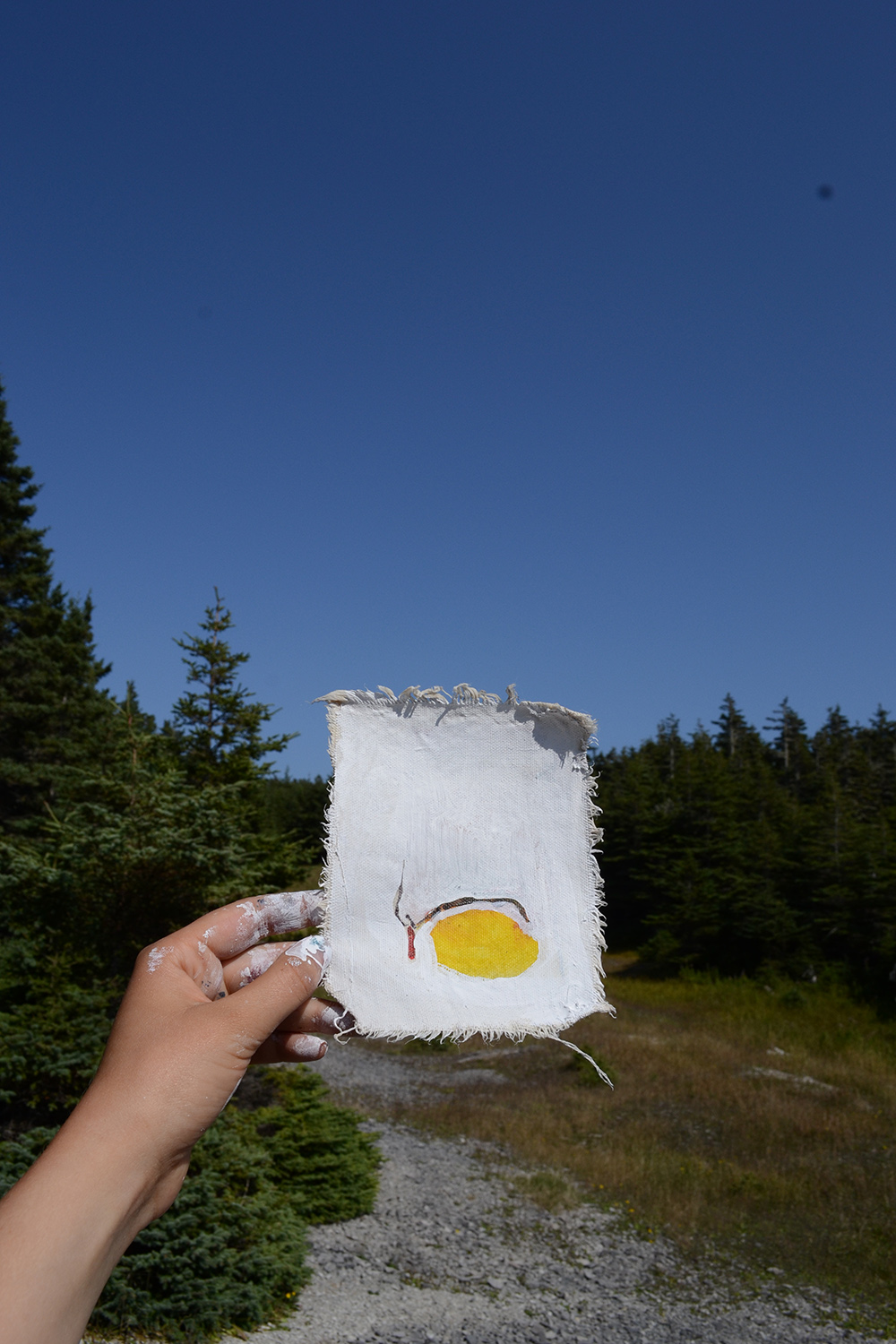 Project realized during Nomade Residency, Anticosti (QC)