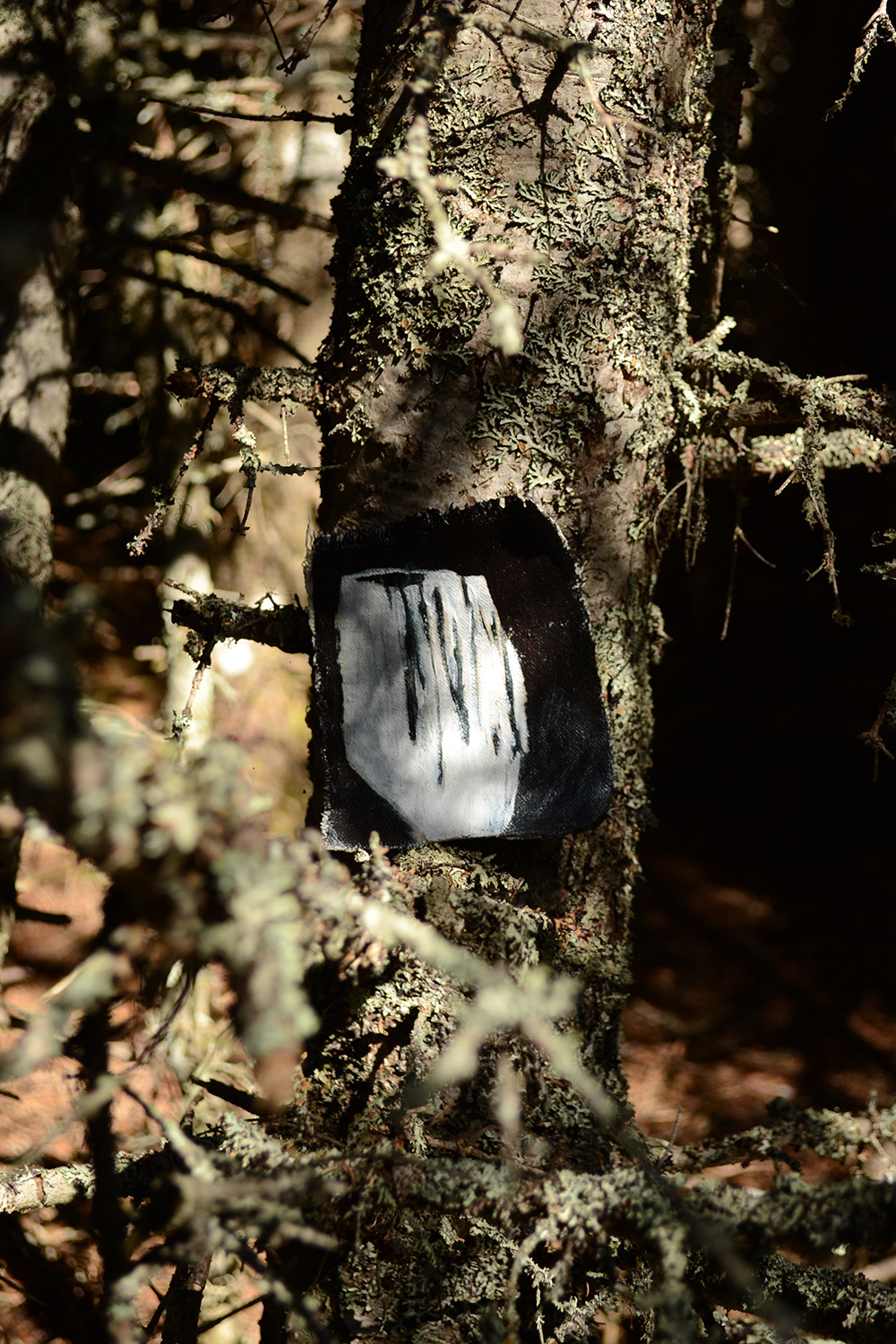 Project realized during Nomade Residency, Anticosti (QC)