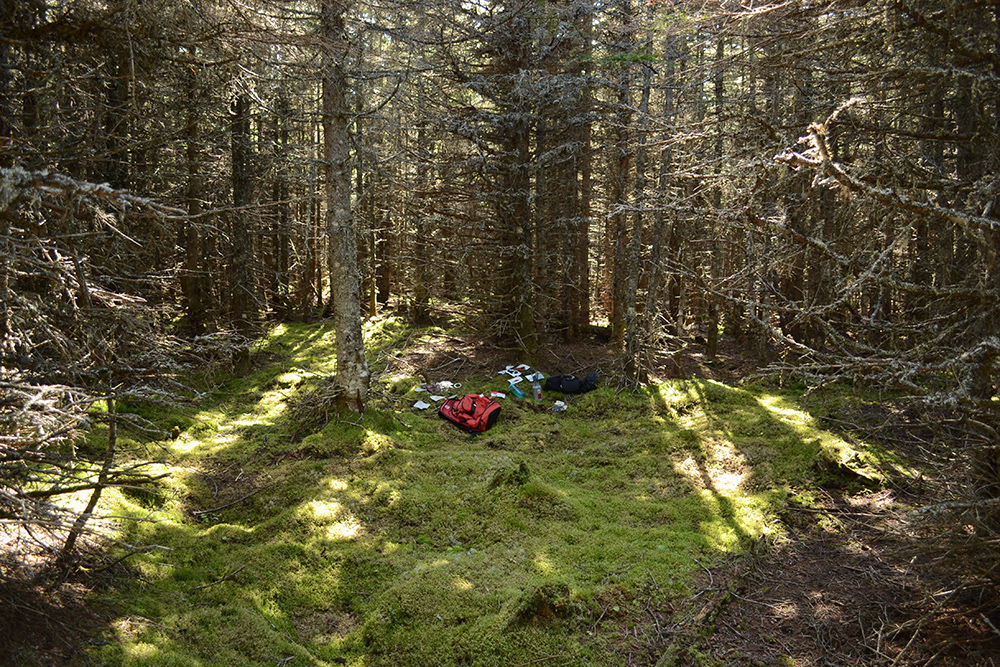 Project realized during Nomade Residency, Anticosti (QC)