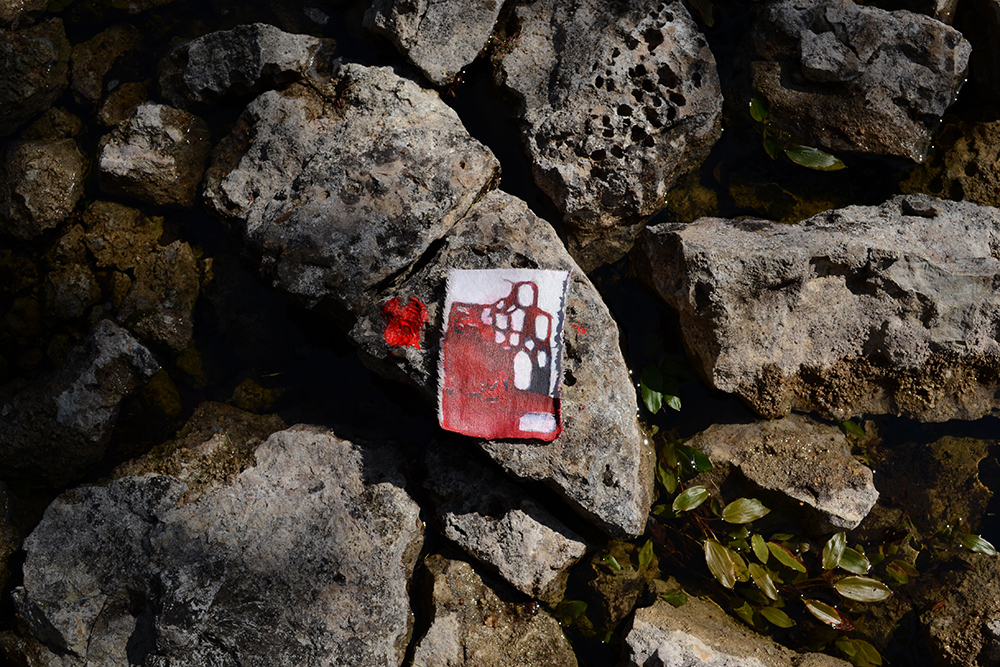 Project realized during Nomade Residency, Anticosti (QC)