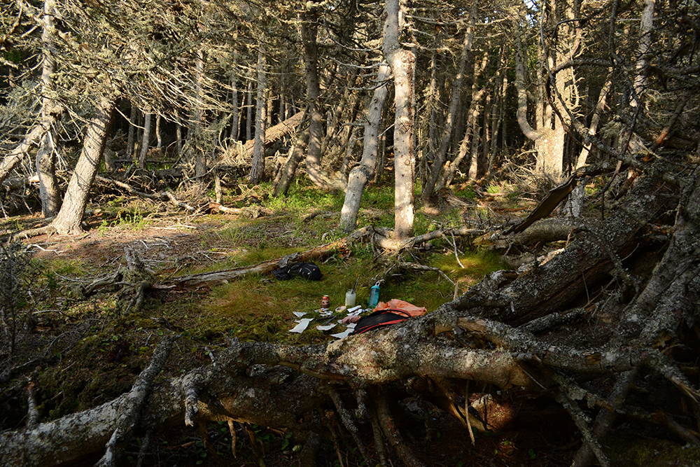 Project realized during Nomade Residency, Anticosti (QC)