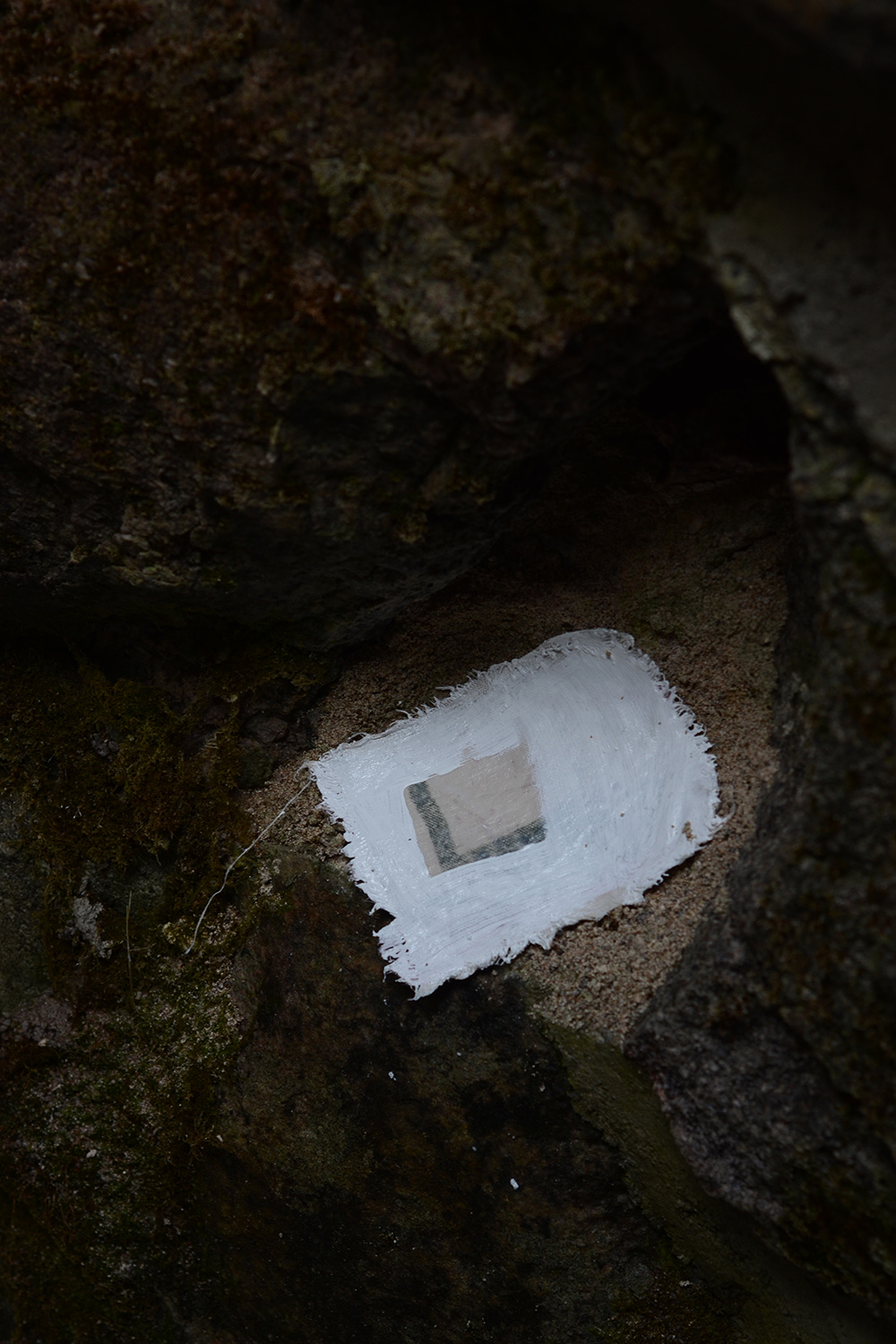 Project realized during Nomade Residency, Anticosti (QC)