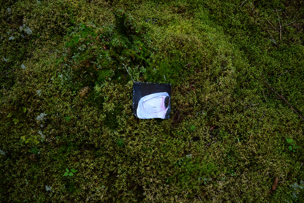 Project realized during Nomade Residency, Anticosti (QC)