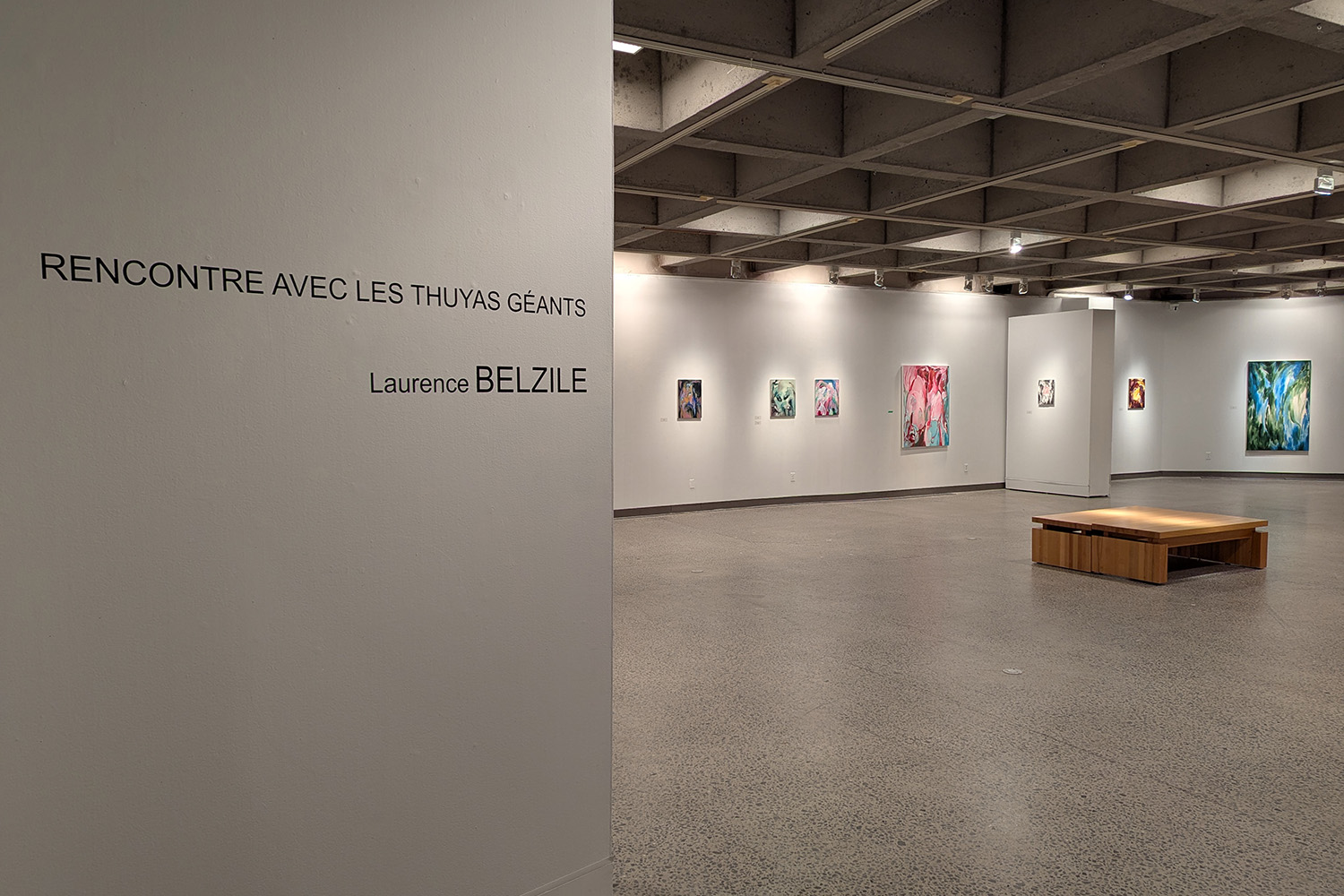 Rencontre avec les Thuyas Géants