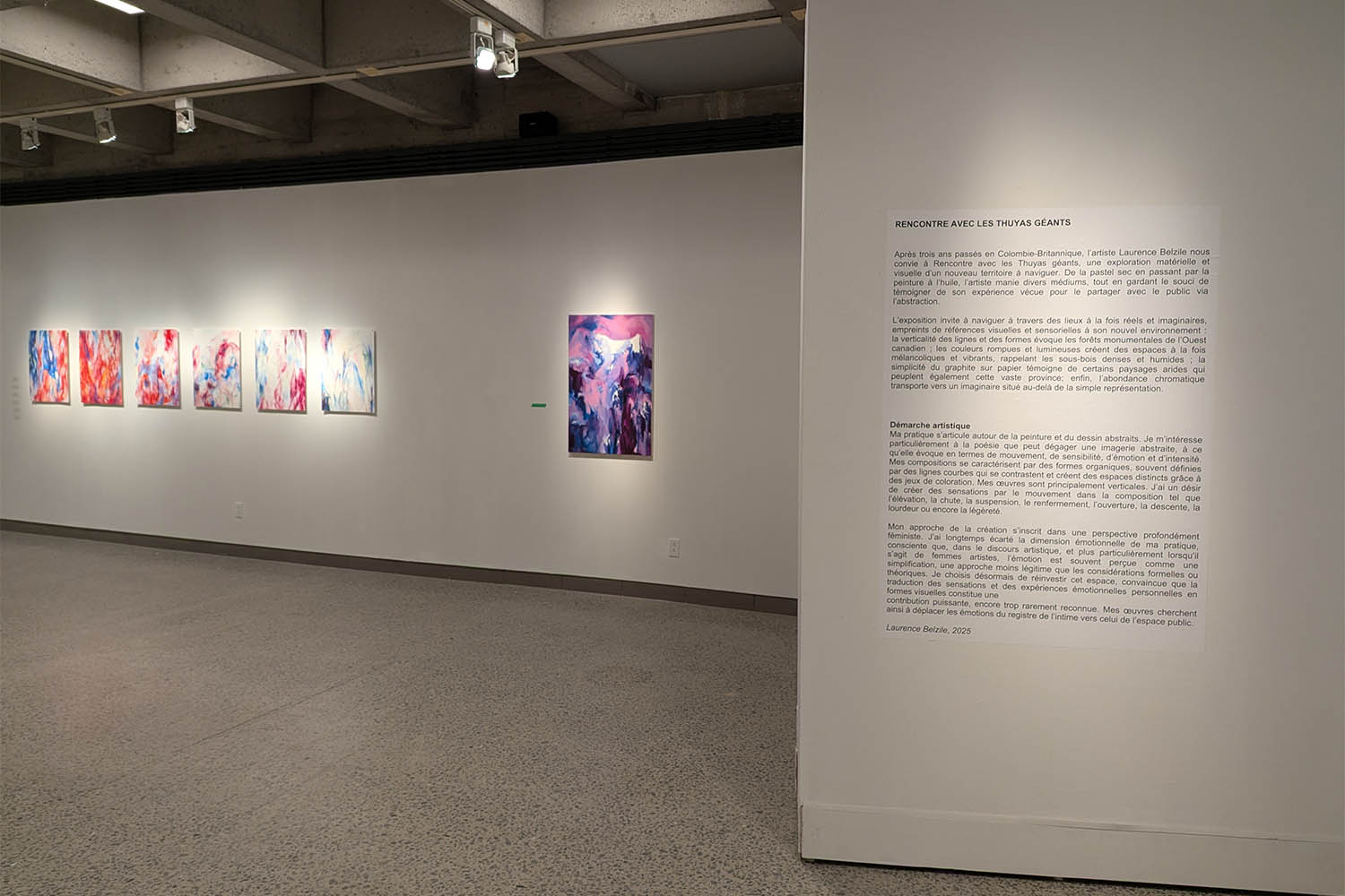 Rencontre avec les Thuyas Géants