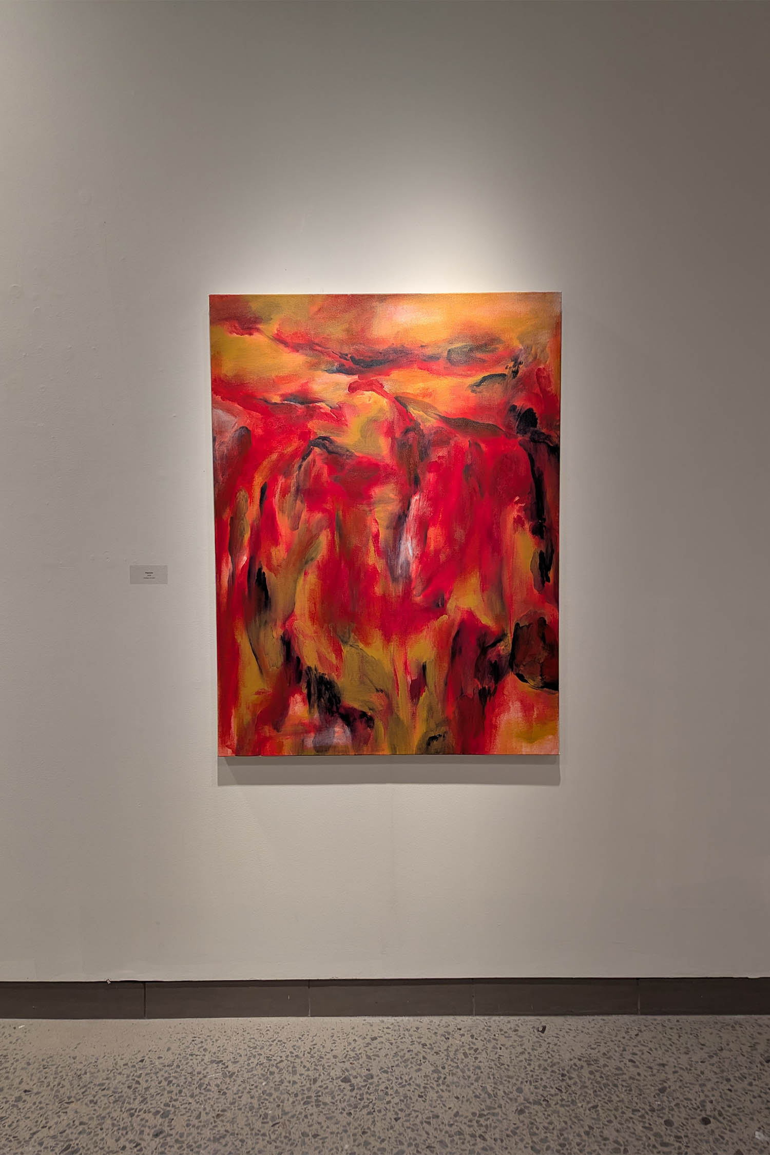 Rencontre avec les Thuyas Géants