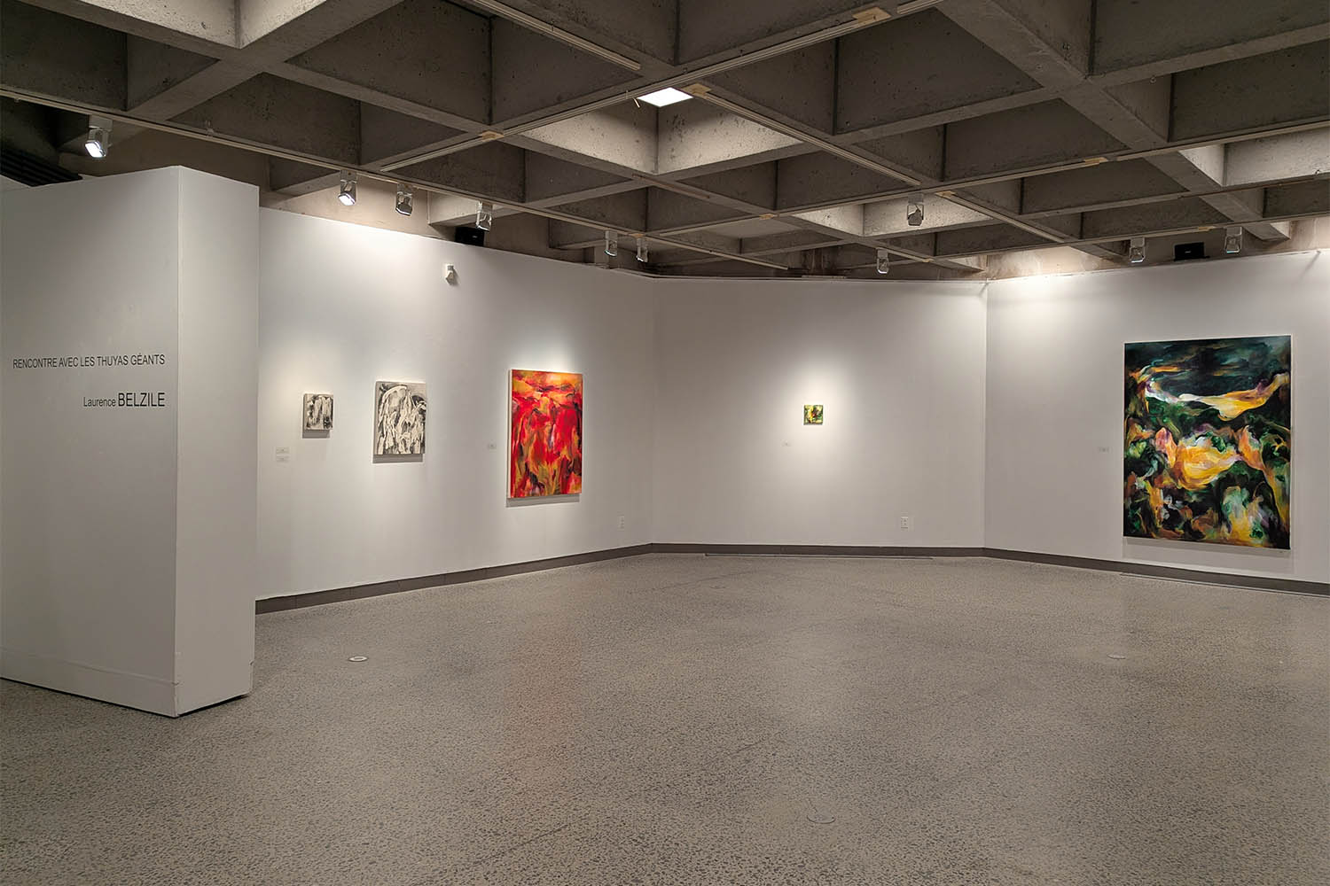 Rencontre avec les Thuyas Géants