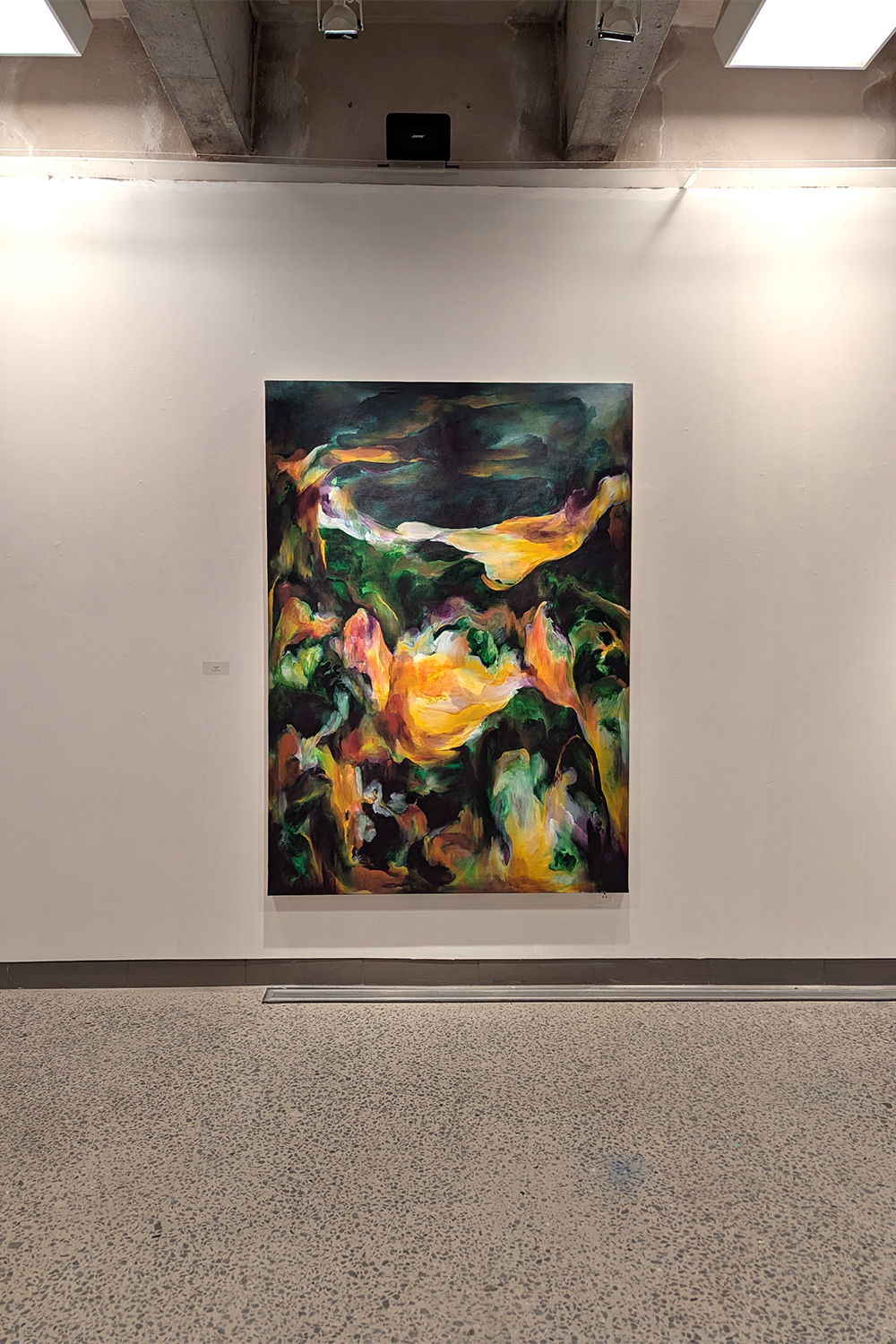 Rencontre avec les Thuyas Géants