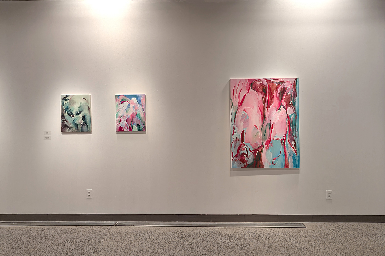 Rencontre avec les Thuyas Géants