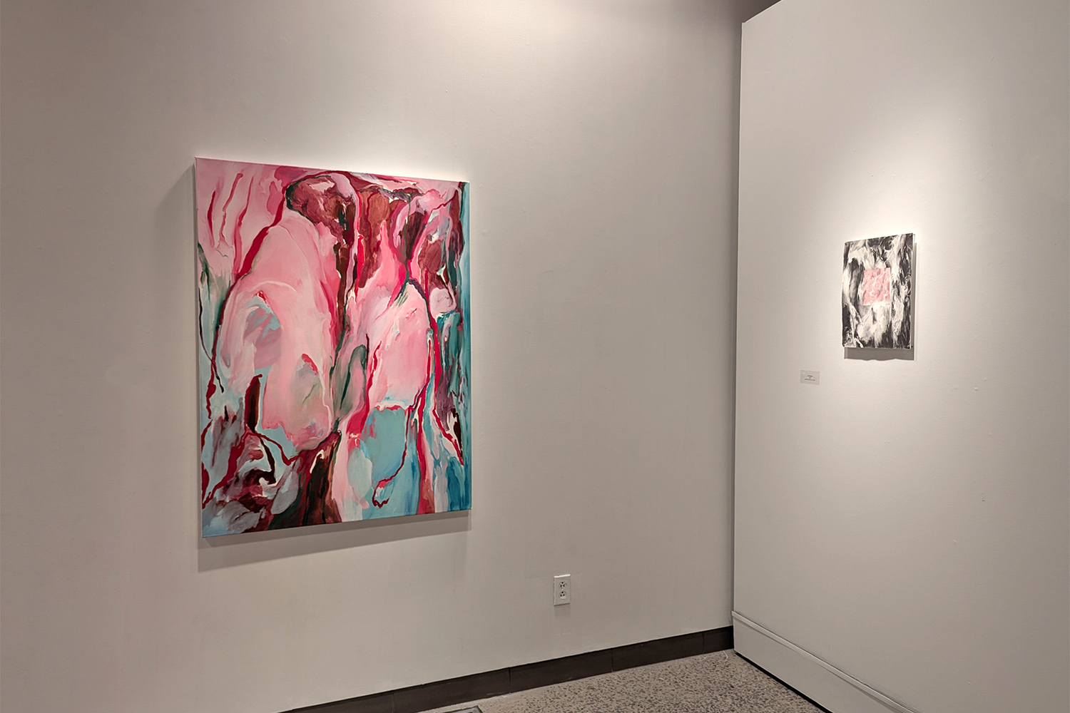 Rencontre avec les Thuyas Géants