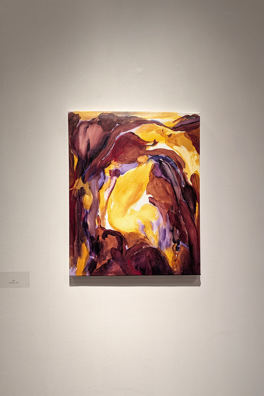 Rencontre avec les Thuyas Géants