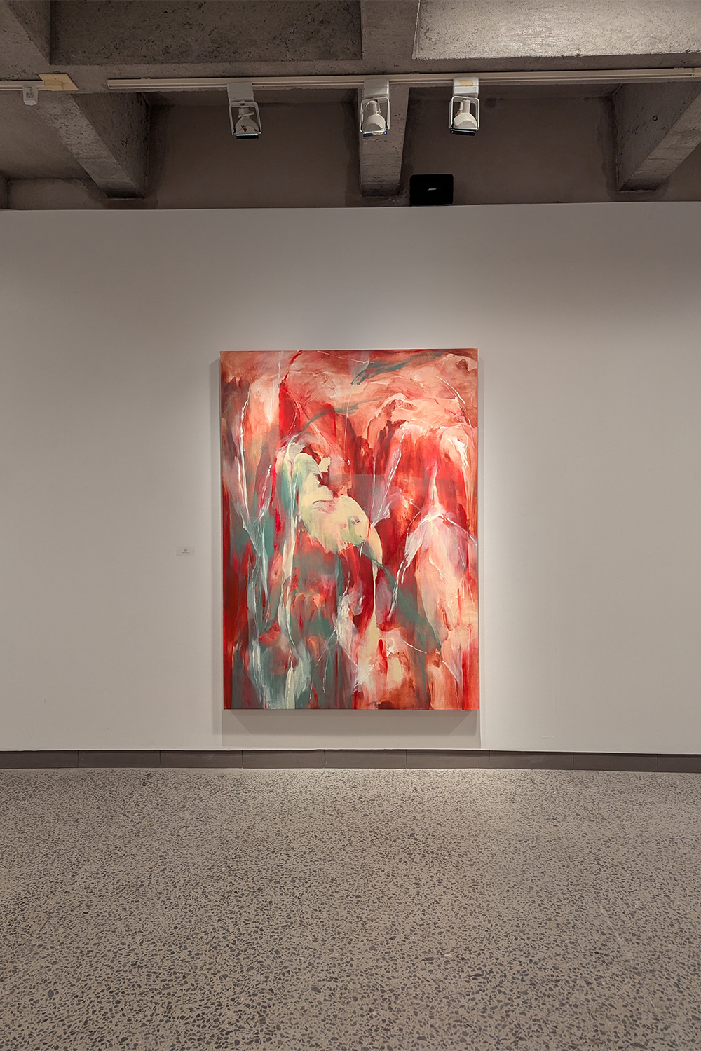 Rencontre avec les Thuyas Géants