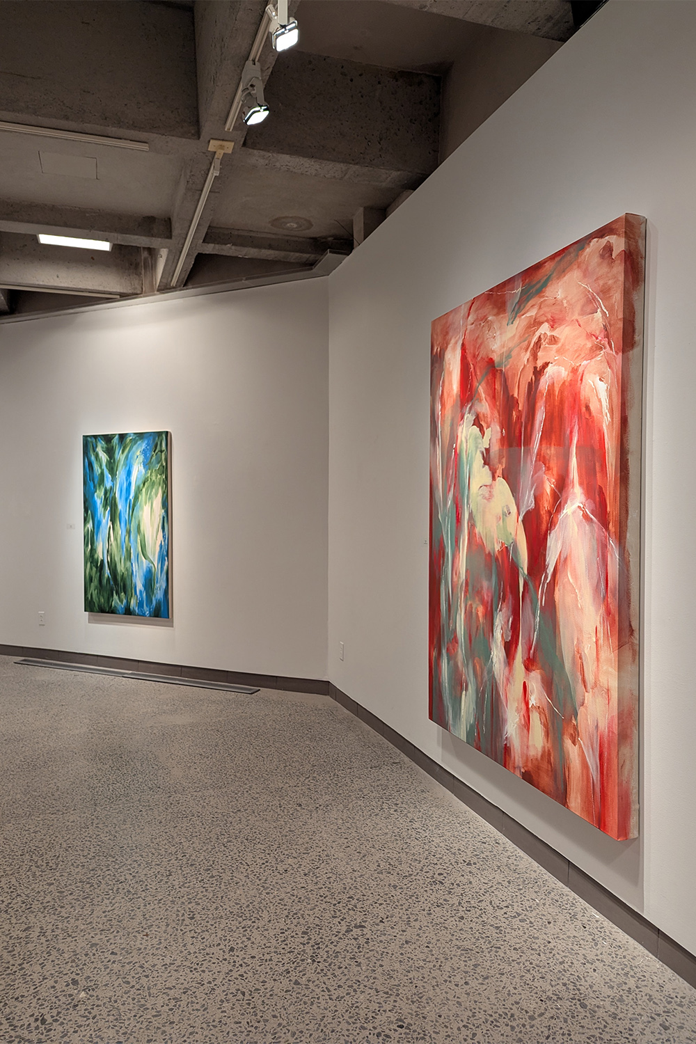 Rencontre avec les Thuyas Géants