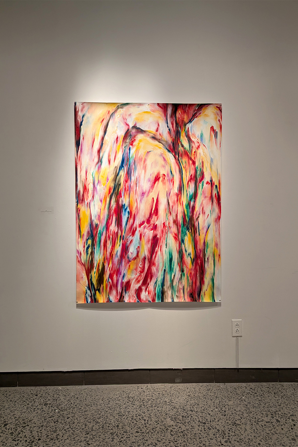 Rencontre avec les Thuyas Géants