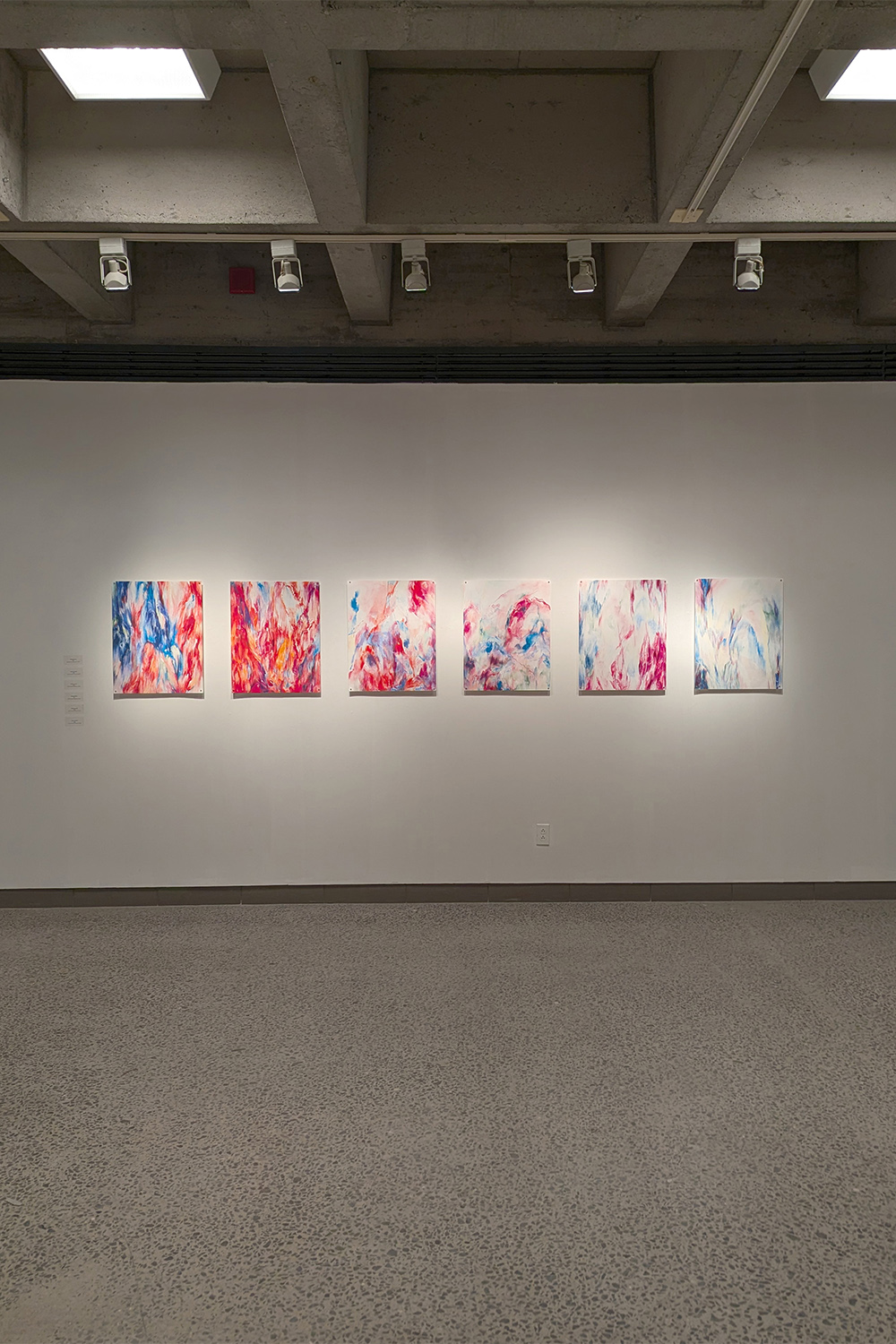 Rencontre avec les Thuyas Géants