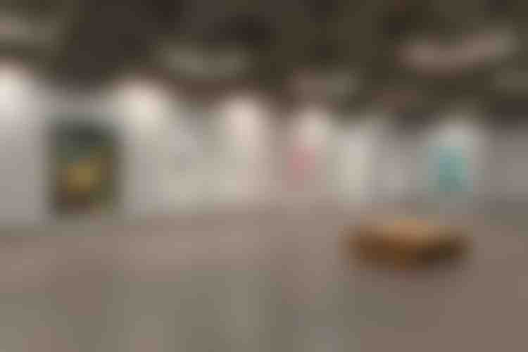 Rencontre avec les Thuyas Géants