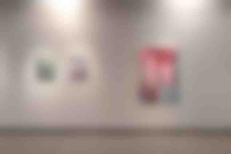 Rencontre avec les Thuyas Géants