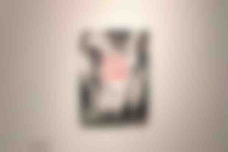 Rencontre avec les Thuyas Géants