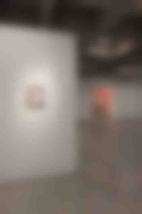 Rencontre avec les Thuyas Géants