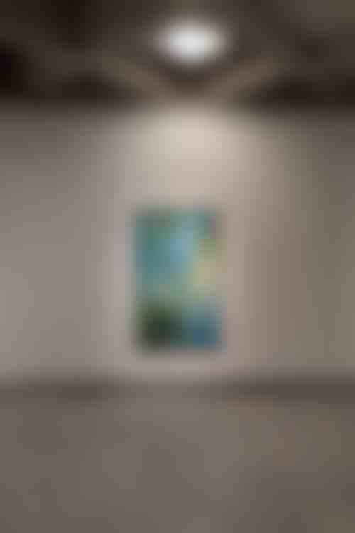 Rencontre avec les Thuyas Géants