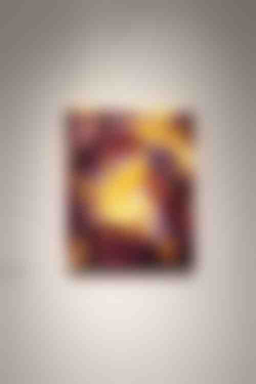 Rencontre avec les Thuyas Géants