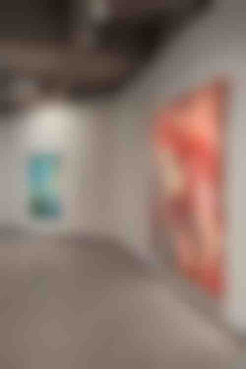 Rencontre avec les Thuyas Géants