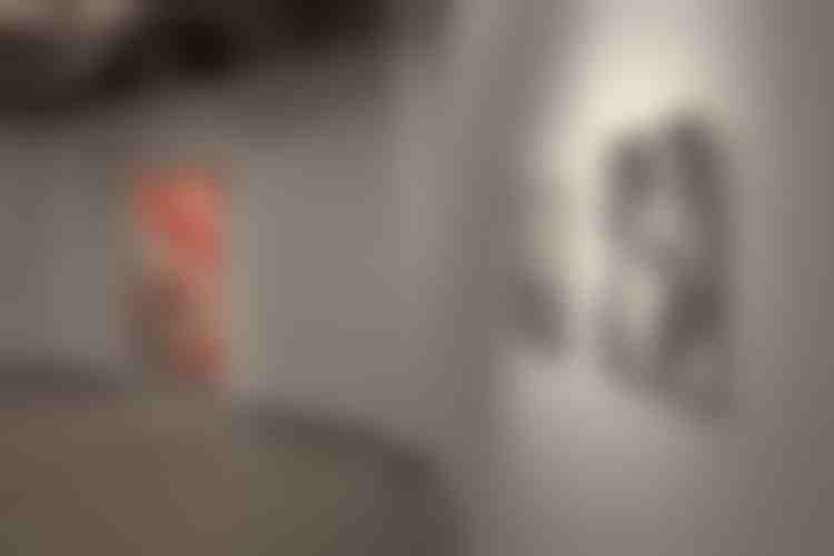 Rencontre avec les Thuyas Géants