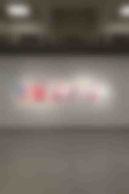 Rencontre avec les Thuyas Géants